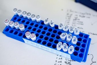 Coronavirus in Sachsen: Ein weiterer Toter und sechs Neu-Infektionen -
