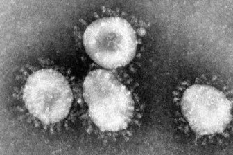 Coronavirus: Vier weitere Fälle in Chemnitz bestätigt -