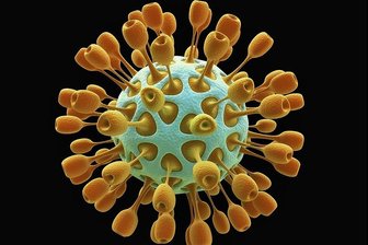 Coronavirus: Zahl der Todesfälle im Landkreis Zwickau steigt auf 20 - Die Zahl der verstorbenen Covid-19-Patienten im Landkreis Zwickau ist von Mittwoch auf Donnerstag auf insgesamt 20 gestiegen.