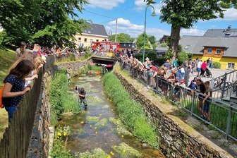 Cranzahl: Entenrennen auf der Sehma zählt 160 Teilnehmer - 160 Teilnehmer hat das Entenrennen am Samstag gezählt. 