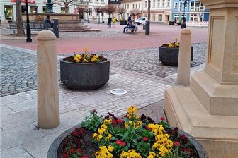 Crimmitschau: Blumenkübel zieren die Innenstadt - Frühlingserwachen in Crimmitschau: Blumenkübel zieren den Marktplatz in der Innenstadt.