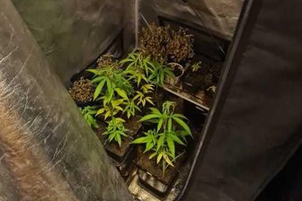 Crimmitschau: Cannabis-Zucht in Wohnung beschlagnahmt -