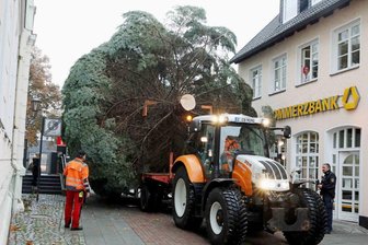 Crimmitschau: Ein Weihnachtsbaum mit einer ganz besonderen Geschichte - An der Einfahrt zum Marktplatz zwischen Stadttheater und Commerzbank wurde es noch einmal richtig eng. Ronny Seltmann (links) dirigierte per Funk.