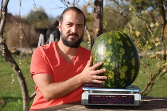 Crimmitschau: Herr Dinger hat das dickste Ding - Andreas Dinger aus dem Crimmitschauer Ortsteil Langenreinsdorf mit seiner Mega-Wassermelone.