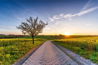 Crimmitschau-Kalender: Neukirchener liefert Siegerfoto - Das Foto „Frühling in Crimmitschau“ von Daniel Schumann ist das Juni-Bild des neuen Kalenders der Stadt.