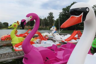 Crimmitschau: Wann kann man im Sahnpark endlich rudern? - Auf tierisch bunten Tretbooten können Ausflügler über die Koberbachtalsperre fahren.