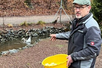 Crimmitschauer Förderverein will im Tiergehege so manches auf die Beine stellen - Tiergehege-Mitarbeiter Wolfram Endrigkeit stimmt sich bei den Arbeiten mit seinem Kollegen Lutz Gärtner und dem Bauhof der Stadt ab.