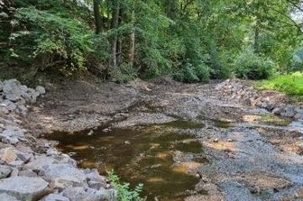 Crinitzer Wasser fließt nun ökologisch - Das sogenannte Crinitzer Wasser ist wieder durchgängig hergestellt worden. 