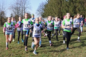 Crosslauf feiert nach fast 25 Jahren eine Premiere - Gelungener Wettkampf: Insgesamt 270 Aktive waren am Sonntag beim Herbstcrosslauf des SV Großwaltersdorf am Start. Dabei ging es auch über 5,5 Kilometer.