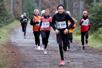 Crosslauf in Geyer: Schlechtes Wetter schreckt Aktive nicht ab - Rund 400 Starter haben dem typischen Novemberwetter in Geyer getrotzt. So auch Franziska Böhm (vorn) vom LV 90 Erzgebirge, die in der AK 11 der Mädchen auf Platz 12 ins Ziel lief.