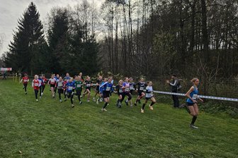 Crosslauf: Limbacher räumen bei der Landesmeisterschaft ab - Josephine Heine (W13) setzte sich gleich zum Start vom Feld ab und gab diesen Vorsprung bis zum Ende nicht mehr her.