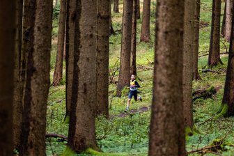 Crosslauf: Veranstalter hoffen in Gelenau auf ähnliche Resonanz wie 2023 - Rund um den Kegelsberg geht es für die Crossläufer am Samstag in Gelenau.