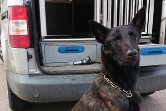 Crystal im Lenker und unterm Fahrersitz: Zöllner beschlagnahmen Drogen im Vogtland - 