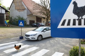 Da lachen nicht nur Hühner - Hühnerzebrastreifen im Baden-Württembergischen Ertingen.