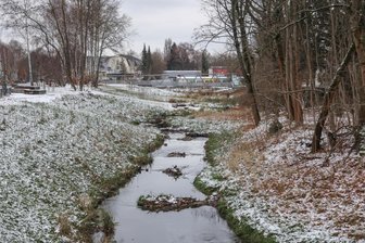 Damit der Pleißenbach wieder mäandern kann: Freistaat übergibt Millionenscheck - Der Blick auf einen bereits renaturierten Abschnitt des Pleißenbaches bis vor zur neuen Talbrücke.