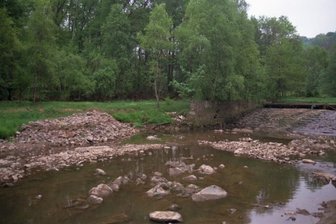 Damit die Fische durchkommen - Das Wehr kontra Bachneunauge: Das Habitat ID 30510 (Ausleitungsstrecke "Steyermühle") sei stark beeinträchtigt durch sehr geringe Wasserführung/Trockenfallen, hieß es 2019 in einem Gutachten der Stadt Großschirma.