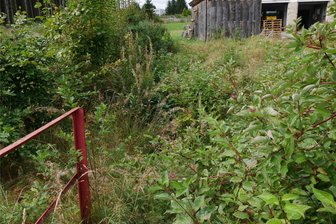 Damit die Wiesen nicht mehr überlaufen: Grünbach saniert Bach - Die Wiese am Bahnhof ist bei Starkregen überflutet.