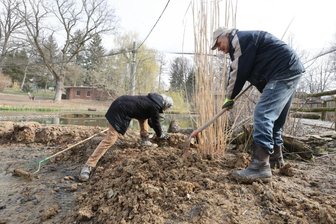 Damit Flamingos im Amerika-Tierpark brüten können: Salzwasserpool und Lehmkegel - Fördervereinschef Klaus Eulenberger packt tatkräftig mit an. "Wir schütten Lehm auf, damit Flamingos ihre Brutkegel bauen können", sagte der 78-Jährige.