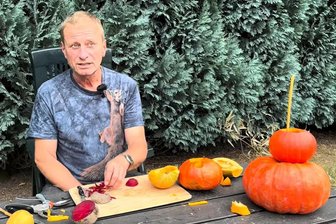 Damit überrascht Star-Tierpfleger Jörg Gräser zu Halloween - Tierpfleger Jörg Gräser, bekannt aus der MDR-Serie „Elefant, Tiger & Co.“, unterhält seine Fans auf Youtube mit Videos zu seinen Schnitzereien aus Obst und Gemüse. Für zwei Waschbären hat er nun etwas völlig Neues ausprobiert.