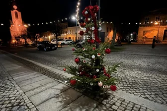 „Dannebeimle ahputz‘n“: Stadt im Vogtland ruft zu Mitmach-Aktion - Dieser Baum trägt schon Schmuck: Im Advent gibt es am Adorfer Markt eine Mitmach-Aktion.