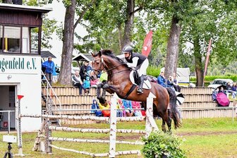Das Beste kommt ganz zum Schluss - Anja Schöniger schaffte es auf Wyonetta beim 2. Derby-Springen nicht nur, als Erste eine fehlerfreie Runde zu absolvieren, ihre Schnelligkeit brachte sie am Ende auch auf den 2. Platz bei 28. Starts.