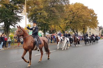Das gab’s in Ellefeld noch nie: Hauptstraße wegen großer Pferdeparade zur Kirmes gesperrt - Gunter Schöniger (vorne) setzte für sich und sein Pferd auf historische Ausstattung.
