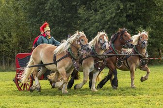 Das gibt es nur einmal im Erzgebirge: Beeindruckende Bilder der Fuchsjagd - Mit der Quadriga zog Frank Oelsner alle Blicke auf sich.