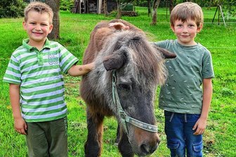 Das Gnadenbrot schmeckt noch: Ist Malmo das älteste Pferd in Sachsen? - Auch die Nachbarkinder Tamo (l.) und Mats haben in Mühlbach Pony Malmo ins Herz geschlossen. Beide helfen regelmäßig bei der Pflege des mittlerweile 42 Jahre alten Pferdes.