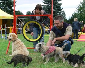 Das große Schnuppern im Tierpark Hirschfeld - 
              <p class="artikelinhalt">Die zahlreichen Hunde der verschiedensten Rassen kamen am Sonntag kaum damit nach, sich gegenseitig zu beschnuppern und ihr Revier abzustecken. </p>
            