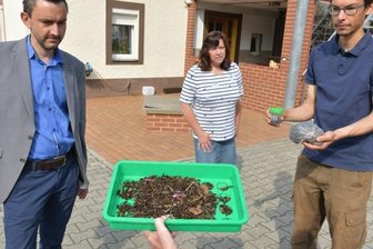 Das große Krabbeln - Bürgermeister René Straßberger (CDU, v. l.), Landwirt-Vertreterin Manuela Bergmann und Schädlingsexperte Robert Beck betrachten die Schale mit Käfern, die Renate Walther an einem Tag eingesammelt hat.
