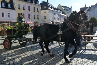 Das ist am Wochenende im Raum Aue und Schwarzenberg los: Zirkus, Streuobstmarkt, Bergaufzug - Zum Öko- und Streuobstmarkt wird am Wochenende nach Schneeberg eingeladen.