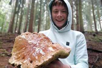 „Das ist mein bisher größter Fund“: Erzgebirger entdecken Mega-Steinpilz und Riesen-Rotkappe - Alexander Winter hat jetzt im Erzgebirgswald diesen mächtigen Steinpilz gefunden.