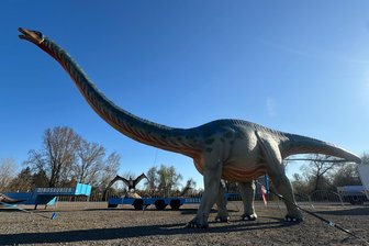 Das ist zu Ostern im Raum Aue und Schwarzenberg los: Dino-Ausstellung, Kinderfest, Lok-Fahrt - Ab Freitag sind die Dinos in Bad Schlema an der Marktpassage los.