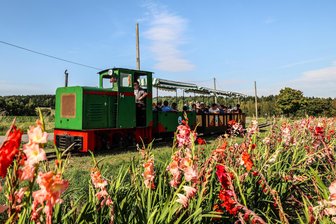 Das ist zu Pfingsten im Raum Stollberg los: Feldbahn fährt, Flugplatzfest, offenes Kunstatelier - Die Feldbahn auf dem Gelände der Alten Ziegelei in Niederwürschnitz fährt zu Pfingsten.