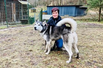 Das Jahr der Katzen: Ein Tierheim im Erzgebirge zwischen Platzmangel und Kostenexplosion - Husky-Rüde Shoto sucht dringend ein neues Zuhause. Laut Diana Glöckner, der Leiterin des Tierheims in Bockau, ist der Vierbeiner aufgeweckt und gutmütig – und braucht noch ein bisschen Erziehung. Nicht nur er wartet auf eine Vermittlung.