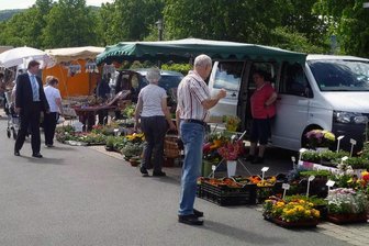 Das kann es nicht gewesen sein: Wie Händler und Stadtverwaltung für den Olbernhauer Wochenmarkt kämpfen - Am Mittwoch startet in Olbernhau die Marktsaison. Dafür konnte ein wichtiger Händler zurückgewonnen werden.