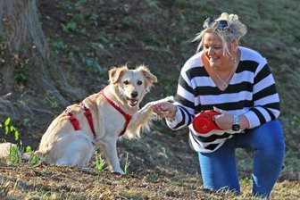 „Das ließ mich nicht mehr los“: Westsächsin engagiert sich für Straßenhunde in der Türkei - Manuela Wagner – mit Familienhund Jola – lassen die Schicksale von Straßenhunden in der Türkei nicht kalt. Über einen Verein sammelt sie Spenden für deren Betreuung.