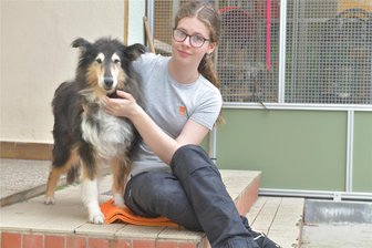 Das Schicksal von Collie-Hündin Kessy rührt selbst die Mitarbeiter im Freiberger Tierheim - Collie-Hündin Kessy hatte es bei ihrem Besitzer nicht leicht. Nun wird sie im Tierheim „Albert Schweizer " in Freiberg unter anderem von Jasmin Lange umsorgt. Die Schülerin absolviert hier ein Praktikum.