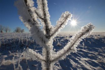 Das Schmuddelwetter endet in Sachsen: Jetzt kommen Sonne, Frost und Schnee - Ab der Nacht zum Mittwoch wird es frostig in Sachsen.