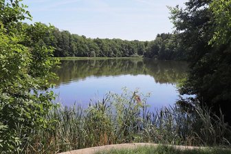Das sind die schönsten Naturbäder rund um Freiberg und Flöha - Ein verstecktes Kleinod ist das Pochwerkteichbad bei Langenau. Die Wildbadestelle bietet Ruhe und Natur pur.