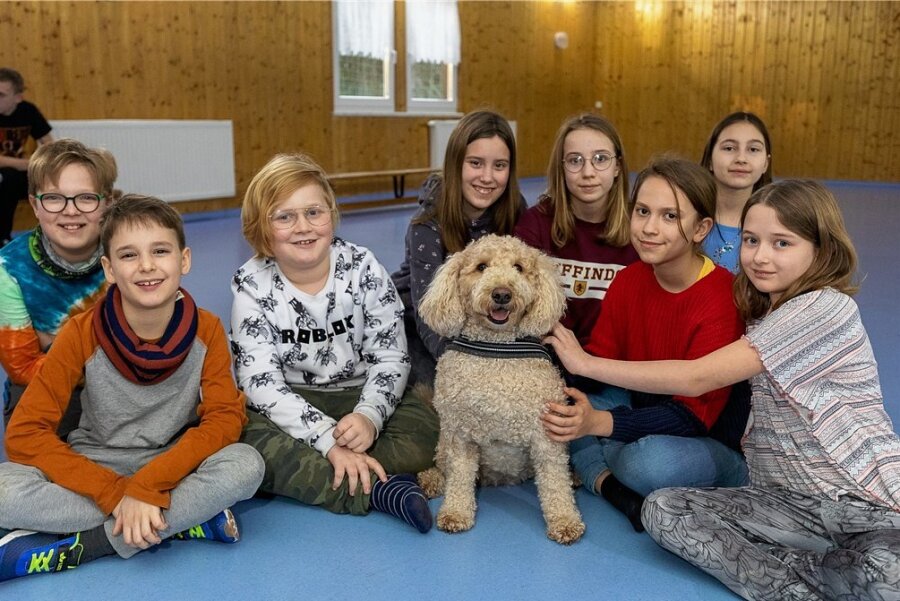 Das total verrückte Ferienlager in Limbach - Für ein großes Hallo sorgte Therapiehund Sunny. Der Goldendoodle gehört Katja Hendel, Leiterin der DRK-Sozialstation Reichenbach, und ist unter anderem in der Tagespflege im Einsatz und beliebt. 