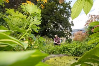 Das versteckte Paradies - Bernhard Weisbach in seinem parkähnlichen Garten an der Bleichstraße. Der studierte Landschaftsarchitekt pflegt das Areal, das einen halben Hektar groß ist.