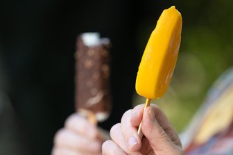 Das Vogtland schwitzt: Wo die Hitze am Mittwoch Rekorde brach - und wo nicht - Bei der Hitze am Mittwoch hatten viele nur einen Gedanken: Abkühlung.
