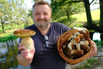 Das Vogtland startet in die Pilz-Saison: Die Rezepte der Pilzberater fürs Suchen und Genießen - Verschmäht einen Steinpilz genau so wenig wie leckere Brätlinge: Pilzberater Klaus Lorenz aus Reichenbach.