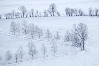 Das Wetter in Sachsen am letzten Herbstferien-Wochenende: Schneit es im Erzgebirge? - In der Nacht auf Sonntag droht flächendeckender Frost. Fallen dann im Erzgebirge Flocken vom Himmel?