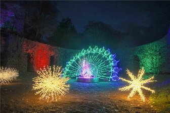 Debatte: Ist die Lichterschau "Lumagica" im Schlosspark Lichtenwalde zu teuer? - Der Lichterpark "Lumagica" im Barockgarten Lichtenwalde bietet mehr als 300 Lichtinstallationen, teilweise mit Musik und interaktiven Elementen.