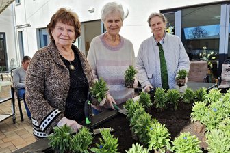 Demenz-Aktion: Frankenberger Tagespflege gestaltet Hochbeet mit Herz - Renate Pfeifer, Karin Sauer und Inge Geisler (v.l.) waren bei der Pflanzaktion in der Tagespflege „Zusammen Leben“ Frankenberg dabei.
