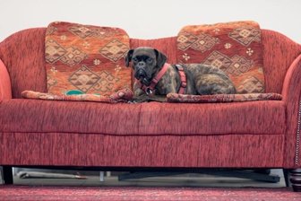 Demokratie ist kein Sofa - Demokratie bedeutet auch, aktiv mitzumachen und nicht passiv zu Hause zu bleiben.
