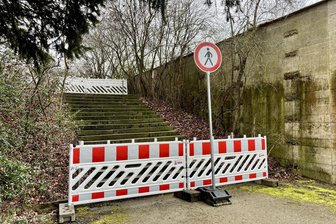 Denkmal am Zwickauer Schwanenteich: Deshalb sind Treppen gesperrt - Die Treppen am Denkmal im Park am Zwickauer Schwanenteich sind zurzeit gesperrt.