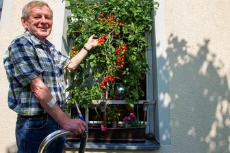 Der älteste Mann von Altensalz: Wozu dieser Vogtländer andere anstiften will - Vor vier Jahren kletterte Horst Blechschmidt noch auf die Leiter, um Cocktailtomaten zu präsentieren.